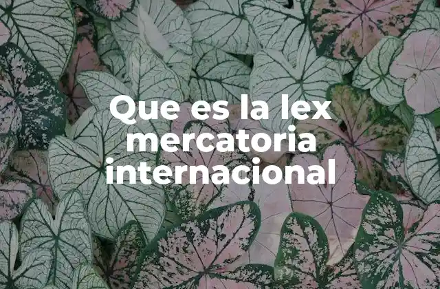 Que es la Lex Mercatoria Internacional