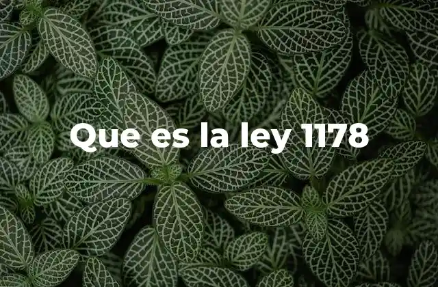 Que es la Ley 1178