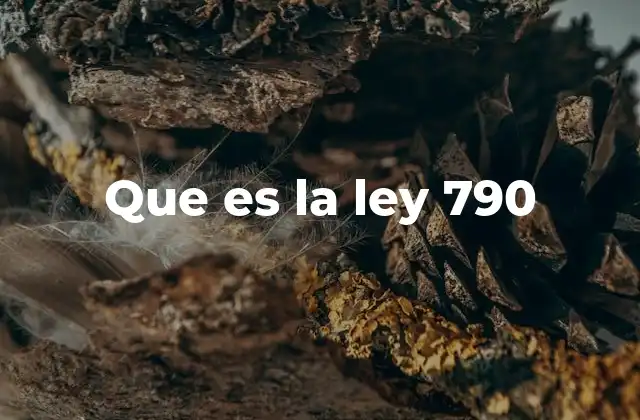 Que es la Ley 790
