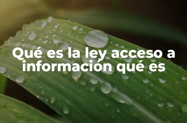 Qué es la Ley Acceso a Información Qué es