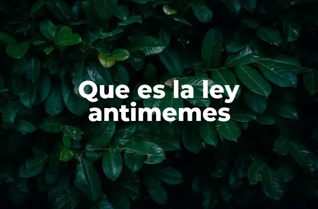 Que es la Ley Antimemes