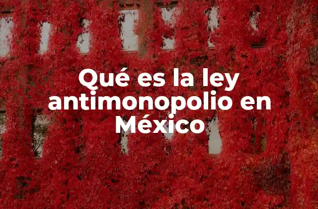 Qué es la Ley Antimonopolio en México
