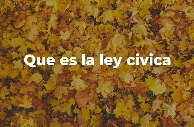 Que es la Ley Civica