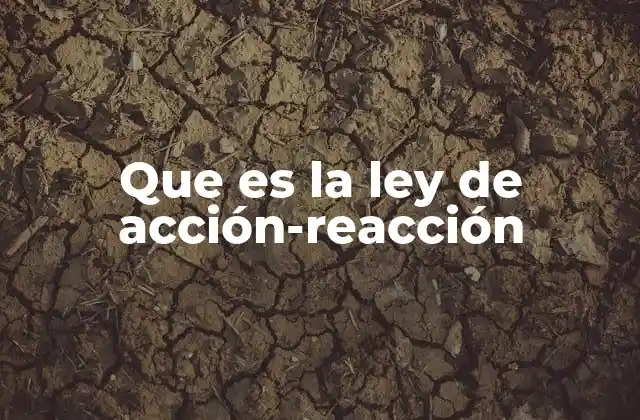 Que es la Ley de Acción-reacción