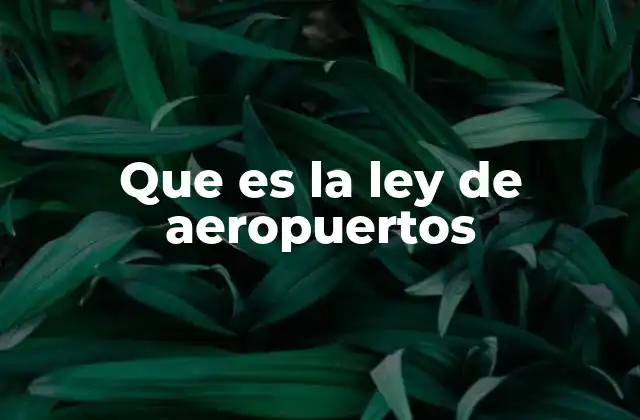 Que es la Ley de Aeropuertos 2 El marco legal que rige el funcionamiento de los aeropuertos