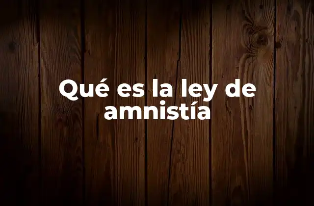 Qué es la Ley de Amnistía
