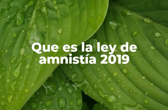 Que es la Ley de Amnistía 2019