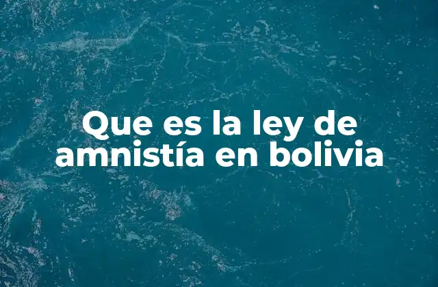 Que es la Ley de Amnistía en Bolivia