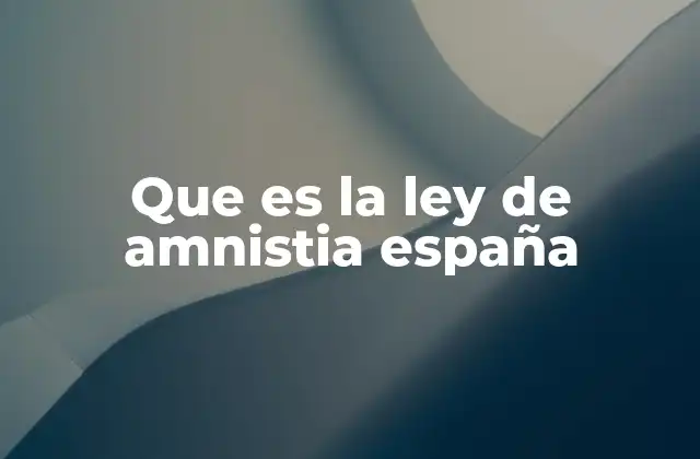La amnistía como herramienta de política criminal en España