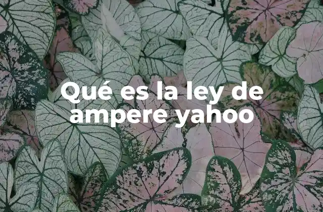 Qué es la Ley de Ampere Yahoo 2 La importancia de la ley de Ampère en la física moderna