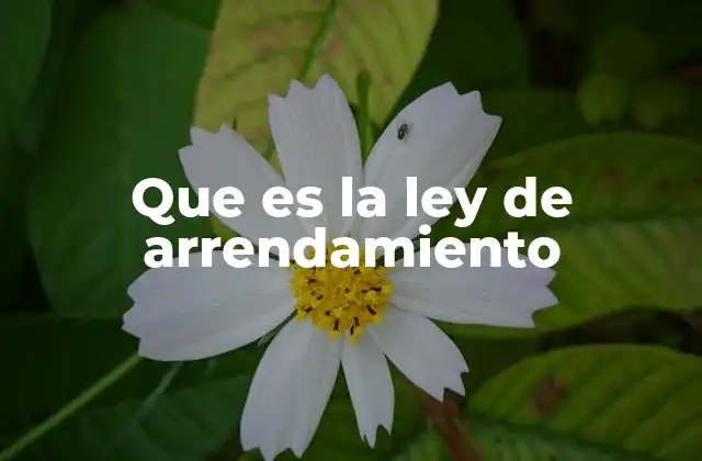 Que es la Ley de Arrendamiento