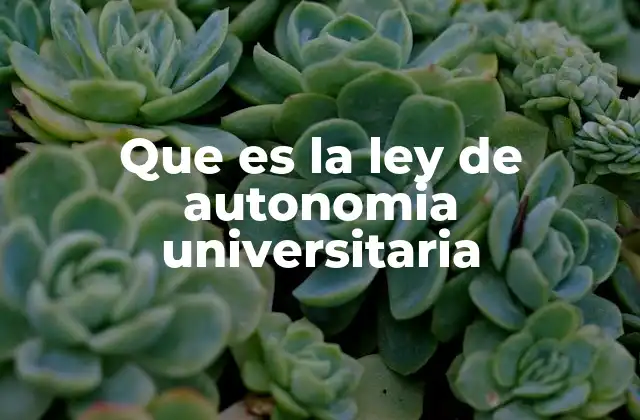 El rol de la autonomía en la educación superior