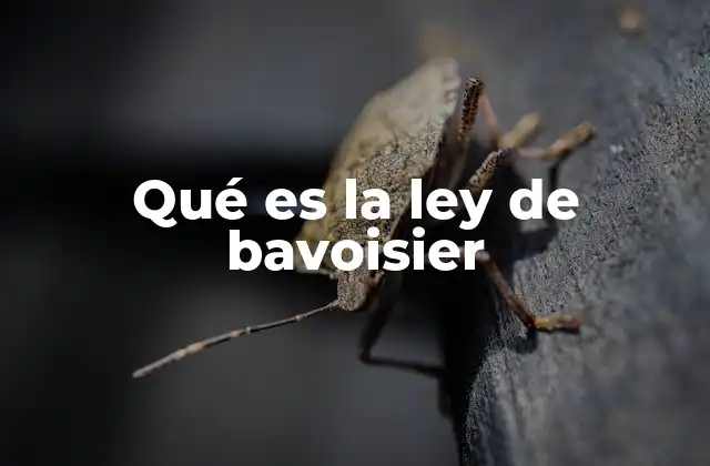 Qué es la Ley de Bavoisier