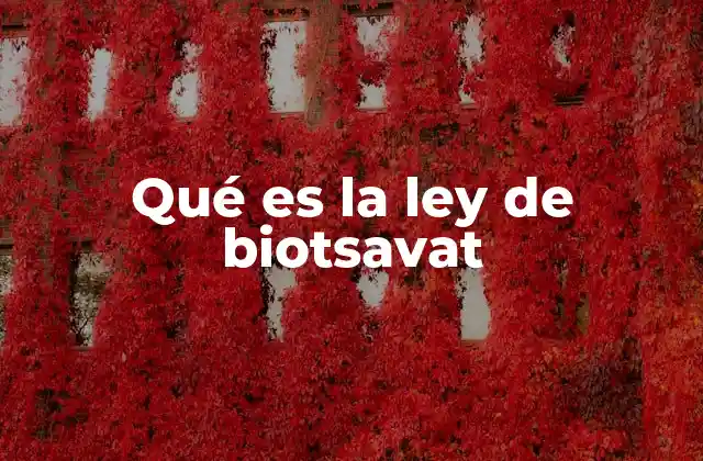 Fundamentos del campo magnético producido por corrientes