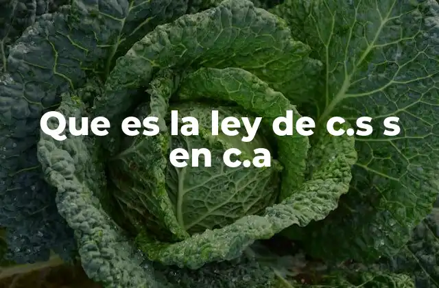 Que es la Ley de C.s S en C.a