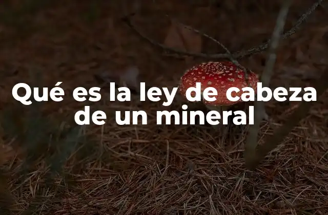 Qué es la Ley de Cabeza de un Mineral