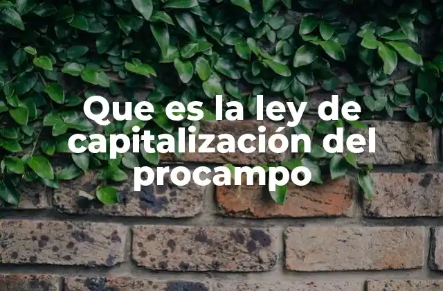 ¿Cómo funciona el proceso de capitalización del Procampo?