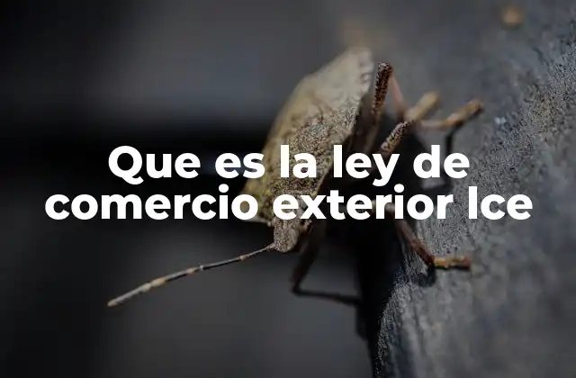 El marco legal que rige el comercio internacional