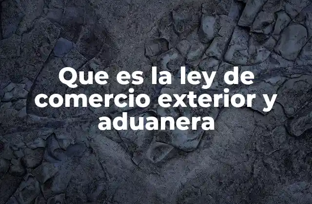 Que es la Ley de Comercio Exterior y Aduanera