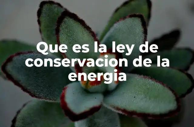 Que es la Ley de Conservacion de la Energia 2 La energía en movimiento y sus transformaciones