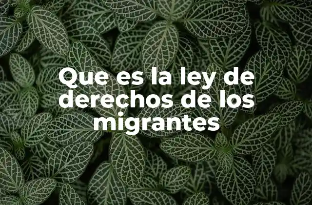 Que es la Ley de Derechos de los Migrantes 2 El impacto social de las leyes que protegen a los migrantes