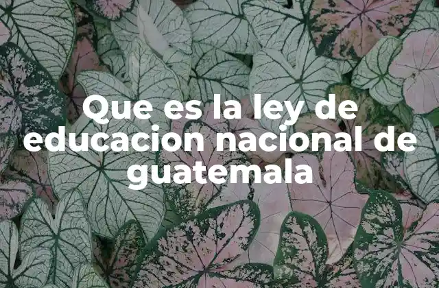 Que es la Ley de Educacion Nacional de Guatemala