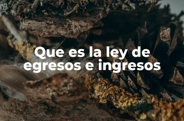 Que es la Ley de Egresos e Ingresos