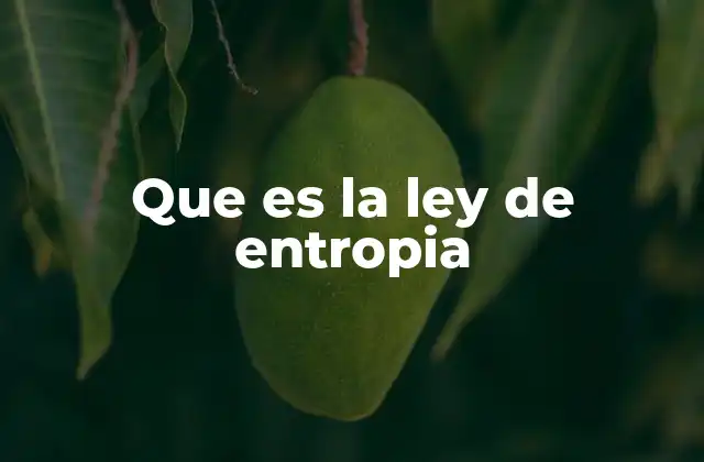 Que es la Ley de Entropia