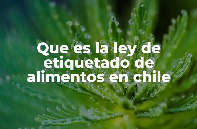 Que es la Ley de Etiquetado de Alimentos en Chile