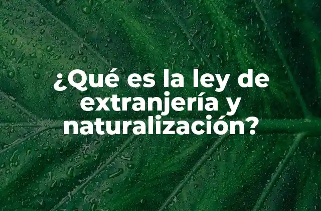 ¿qué es la Ley de Extranjería y Naturalización?
