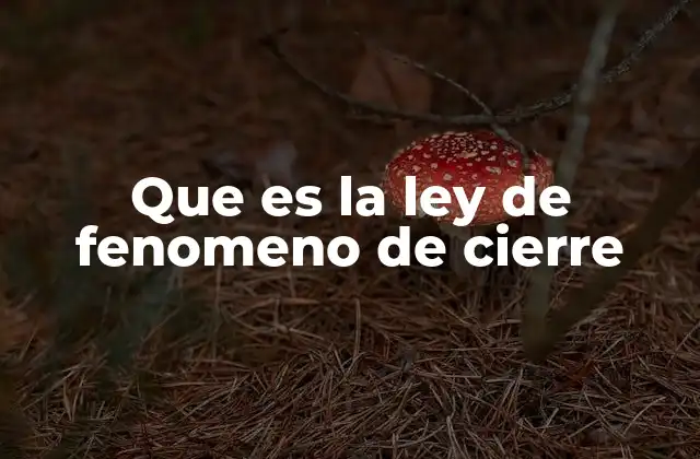 Que es la Ley de Fenomeno de Cierre