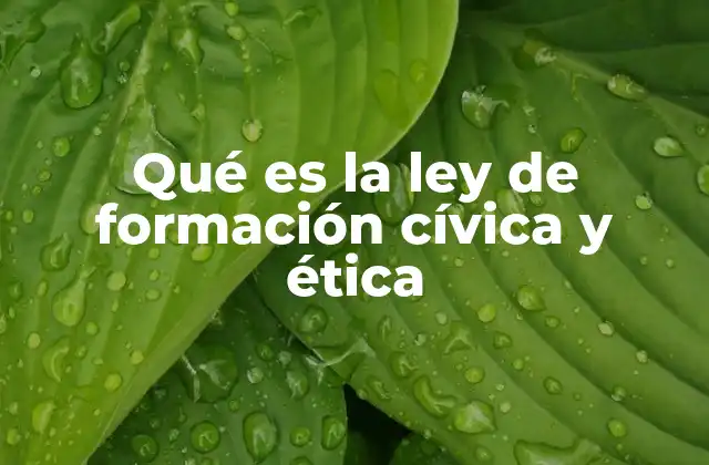Qué es la Ley de Formación Cívica y Ética
