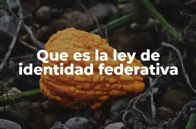 Que es la Ley de Identidad Federativa
