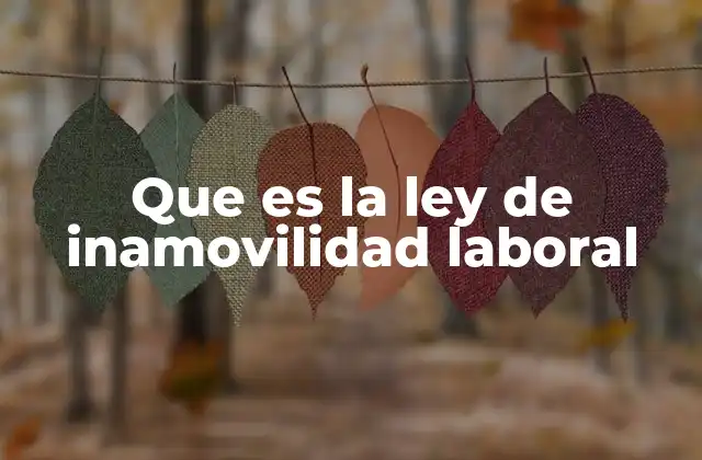 Que es la Ley de Inamovilidad Laboral