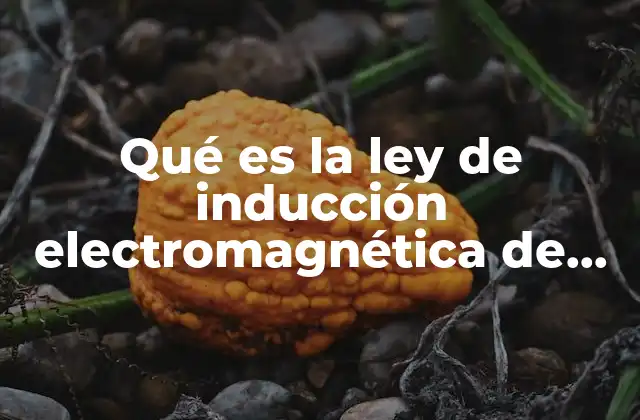Qué es la Ley de Inducción Electromagnética de Faraday