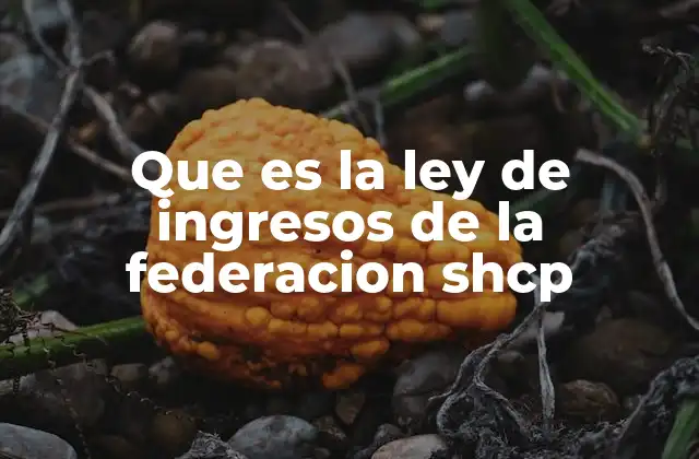 Que es la Ley de Ingresos de la Federacion Shcp