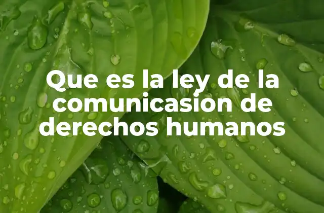 Que es la Ley de la Comunicasion de Derechos Humanos