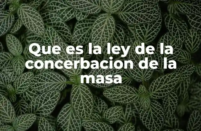 Que es la Ley de la Concerbacion de la Masa 2 El fundamento de la conservación de materia en la química