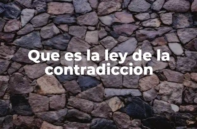 Que es la Ley de la Contradiccion