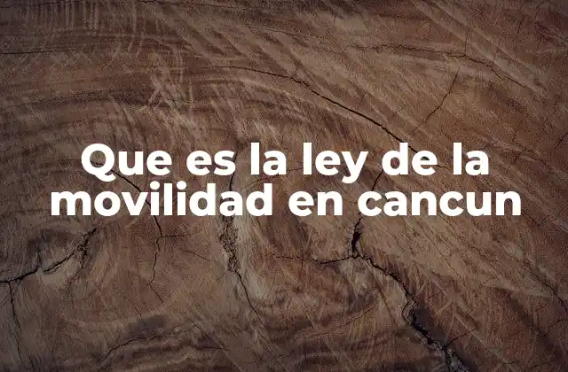 Que es la Ley de la Movilidad en Cancun