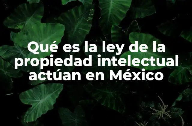 Qué es la Ley de la Propiedad Intelectual Actúan en México