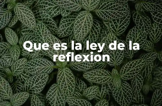 Que es la Ley de la Reflexion