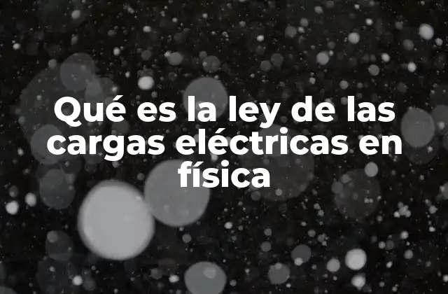 Qué es la Ley de las Cargas Eléctricas en Física