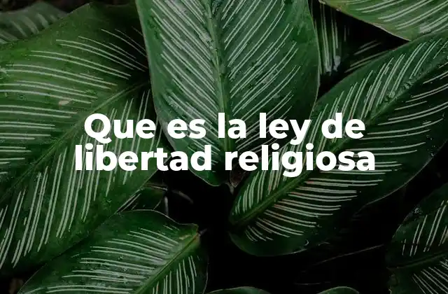 Que es la Ley de Libertad Religiosa