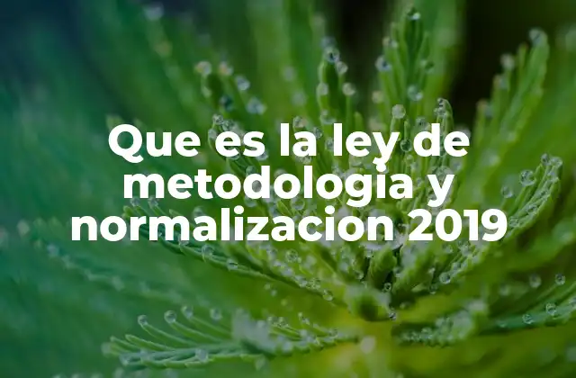 Que es la Ley de Metodologia y Normalizacion 2019