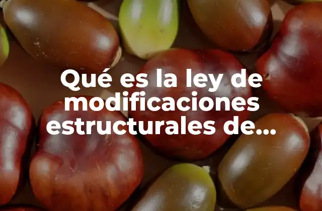 Qué es la Ley de Modificaciones Estructurales de Sociedades Mercantiles