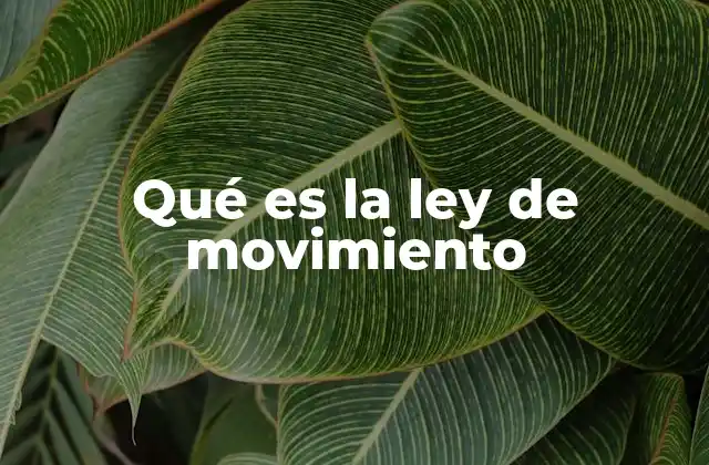 Qué es la Ley de Movimiento