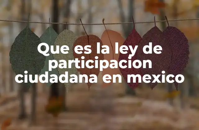 Que es la Ley de Participacion Ciudadana en Mexico