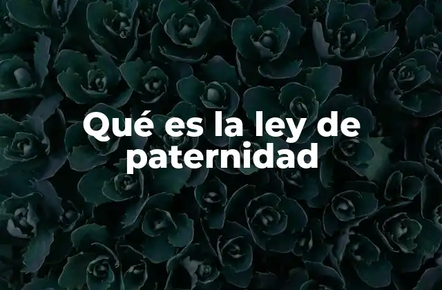 Qué es la Ley de Paternidad