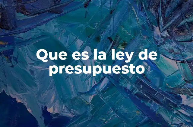 Que es la Ley de Presupuesto